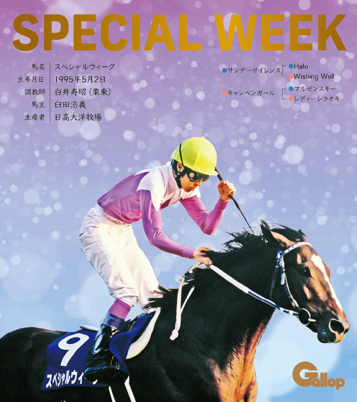 スペシャルウィーク｜名馬全史色紙コレクション Vol.1｜スペシャル色紙